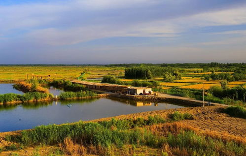 新疆這5處國家級試點濕地公園通過驗收,快為你家鄉(xiāng)的美點個贊