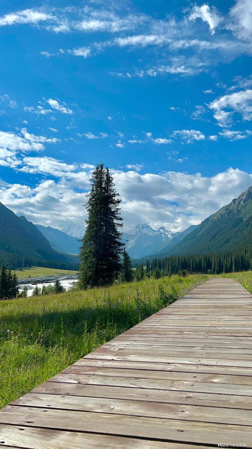 是什么樣的地理環境造就了新疆這片神奇的土地呢